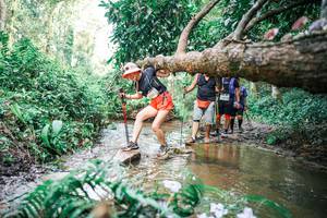 BIB: 
                            <button type="button" onclick="openModal(25517907)" class="btn btn-primary btn-sm float-right btn-popup" data-toggle="modal" data-target=".modal-high-quality">
                        <i class="fas fa-shopping-cart"></i> Add to Cart
                    </button>
                                            <button type="button" onclick="isThisMe(25517907, true)" class="btn btn-success btn-sm float-right btn-popup btn-isme hidden" data-toggle="tooltip" data-placement="bottom" title="นี่คือรูปของคุณใช่ไหม คลิกที่นี่เพื่อเอาเข้าอัลบั้ม">
                        <i class="fas fa-plus"></i> Add to album
                    </button>
                    <button type="button" onclick="isThisMe(25517907, false)" class="btn btn-warning btn-sm float-right btn-popup btn-isnotme hidden">
                        <i class="fas fa-ban"></i> Remove from album
                    </button>